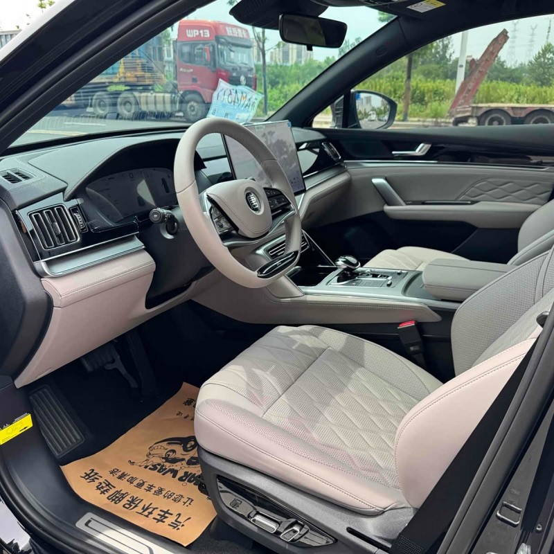 Tang New Energy 2025 DM-i 115KM Premium Edition Tang New Energy 2025 DM-i 115KM Premium Edition