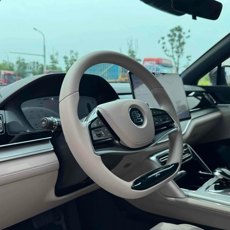 Tang New Energy 2025 DM-i 115KM Premium Edition Tang New Energy 2025 DM-i 115KM Premium Edition