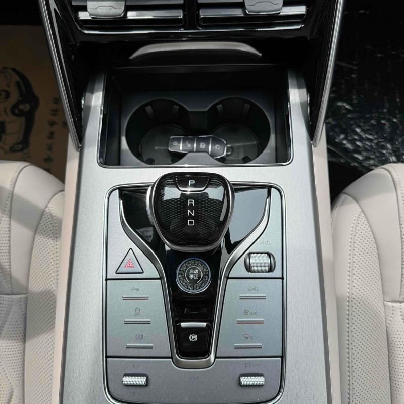 Tang New Energy 2025 DM-i 115KM Premium Edition Tang New Energy 2025 DM-i 115KM Premium Edition