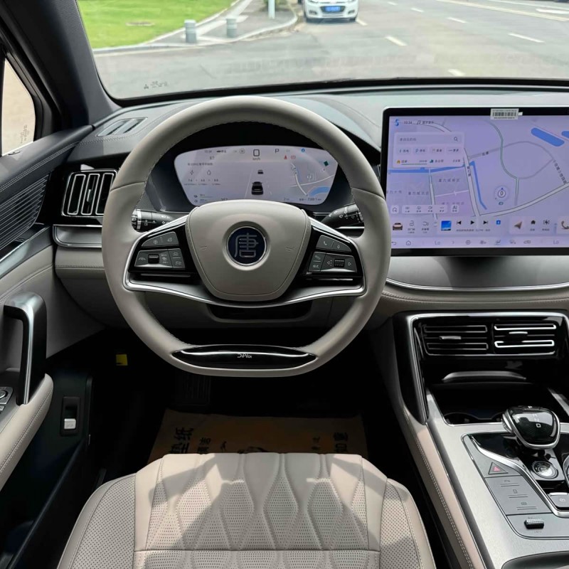 Tang New Energy 2025 DM-i 115KM Premium Edition Tang New Energy 2025 DM-i 115KM Premium Edition