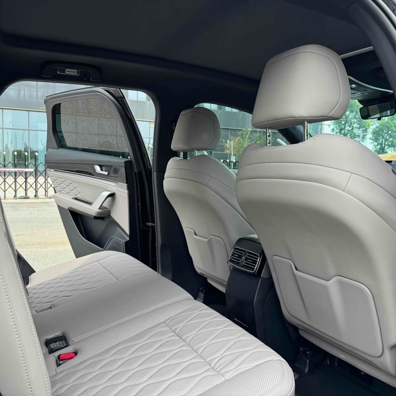 Tang New Energy 2025 DM-i 115KM Premium Edition Tang New Energy 2025 DM-i 115KM Premium Edition