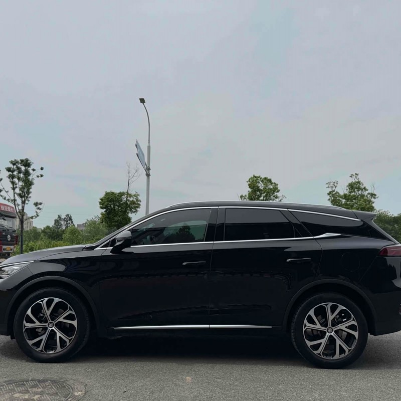 Tang New Energy 2025 DM-i 115KM Premium Edition Tang New Energy 2025 DM-i 115KM Premium Edition