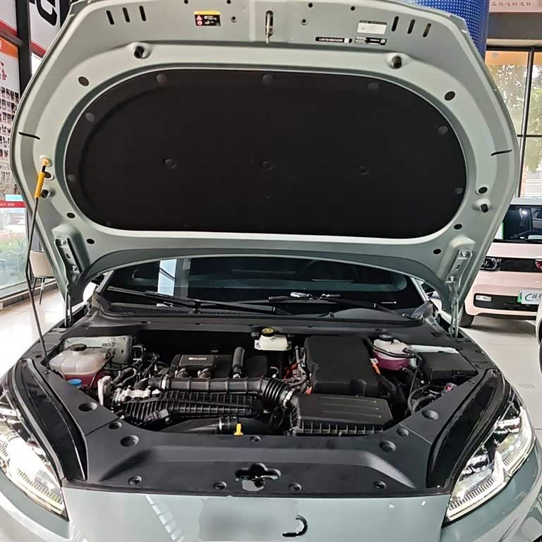 Haibao 06 New Energy 2024 DM-i 120KM Flagship Model Haibao 06 New Energy 2024 DM-i 120KM Flagship Model