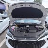 Qin L 2024 DM-i 80KM Leading Edition