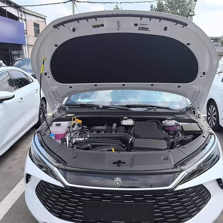 Qin L 2024 DM-i 80KM Leading Edition Qin L 2024 DM-i 80KM Leading Edition