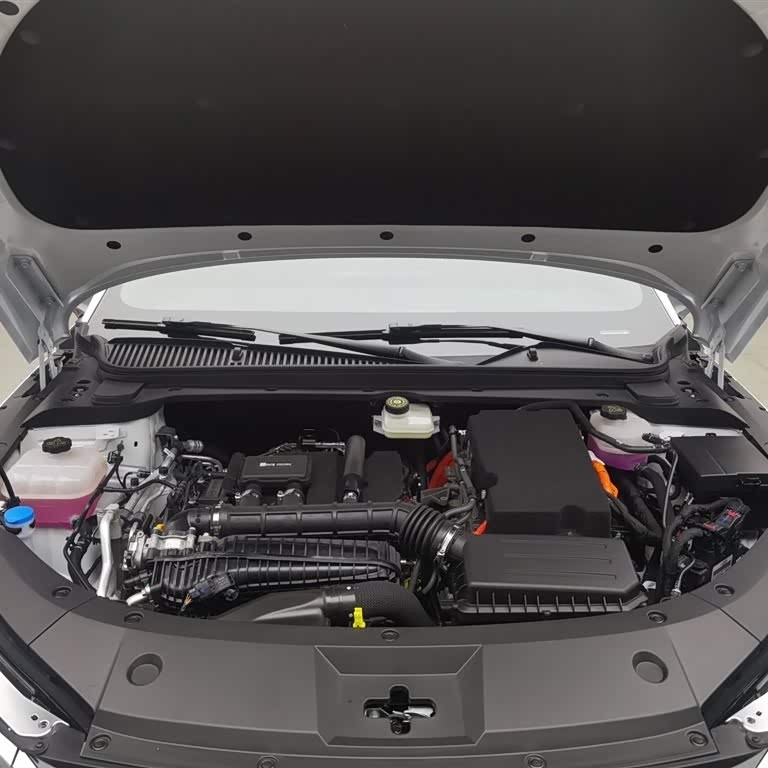 Qin L 2024 DM-i 120KM Beyond Edition Qin L 2024 DM-i 120KM Beyond Edition