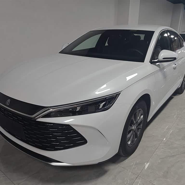 Qin L 2024 DM-i 80KM Leading Edition