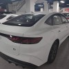 Qin L 2024 DM-i 80KM Leading Edition
