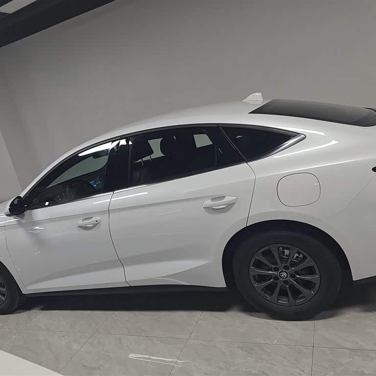 Qin L 2024 DM-i 80KM Leading Edition Qin L 2024 DM-i 80KM Leading Edition