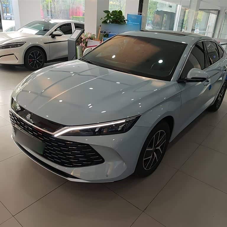 Qin L 2024 DM-i 120KM Leading Edition