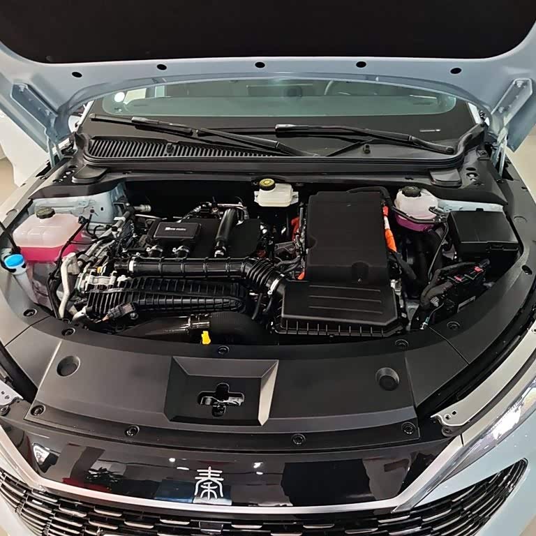 Qin L 2024 DM-i 120KM Leading Edition Qin L 2024 DM-i 120KM Leading Edition