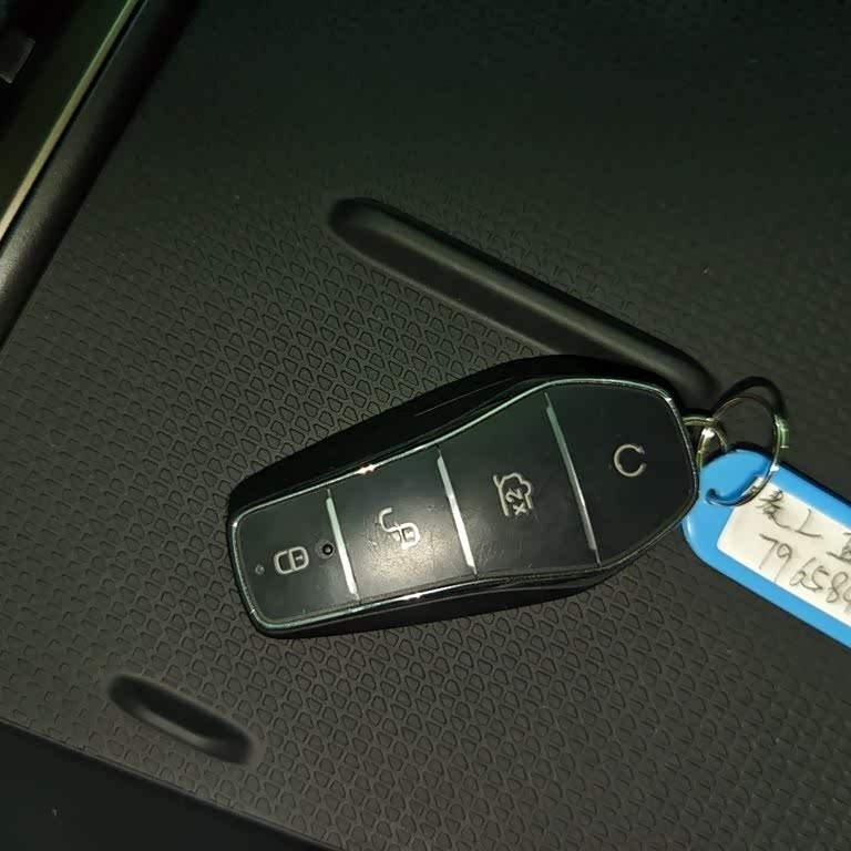 Qin L 2024 DM-i 120KM Leading Edition Qin L 2024 DM-i 120KM Leading Edition