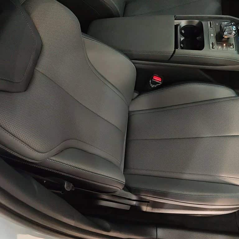 Qin L 2024 DM-i 120KM Leading Edition Qin L 2024 DM-i 120KM Leading Edition