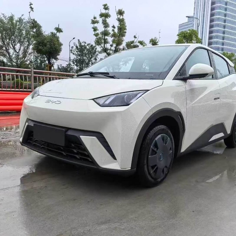 Seagull 2025 305km Vitality Edition Seagull 2025 305km Vitality Edition