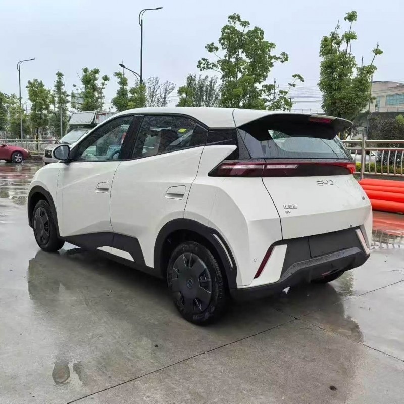 Seagull 2025 305km Vitality Edition Seagull 2025 305km Vitality Edition