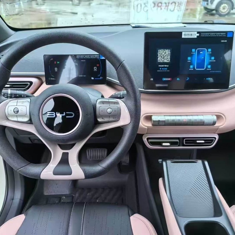 Seagull 2025 305km Vitality Edition Seagull 2025 305km Vitality Edition