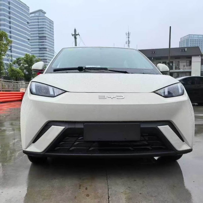 Seagull 2025 305km Vitality Edition Seagull 2025 305km Vitality Edition