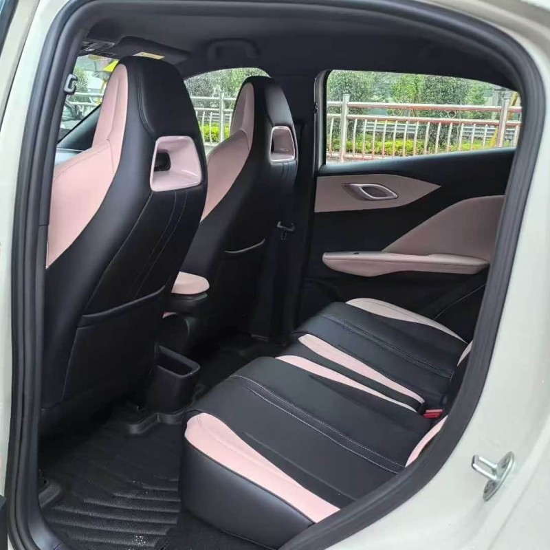 Seagull 2025 305km Vitality Edition Seagull 2025 305km Vitality Edition