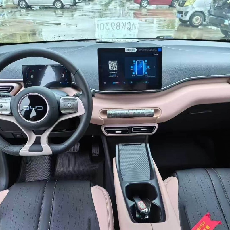 Seagull 2025 305km Vitality Edition Seagull 2025 305km Vitality Edition