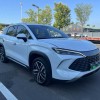 Song L DM-i 2024 model 112km Leading model Song L DM-i 2024 model 112km Leading model