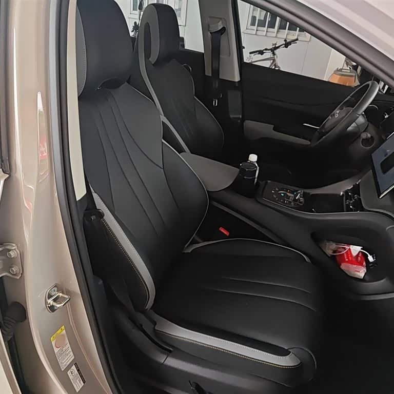 Sea Lion 05 DM-i 2025 DM-i 115KM Flagship Model Sea Lion 05 DM-i 2025 DM-i 115KM Flagship Model