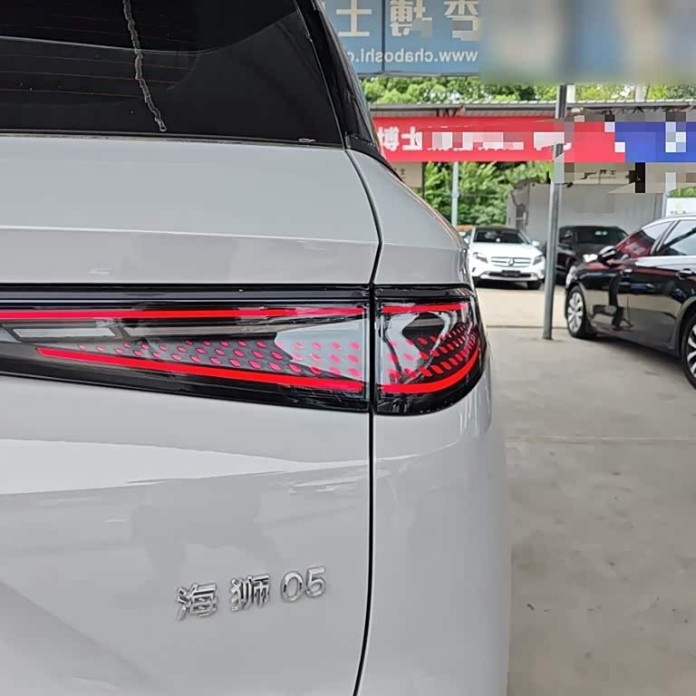 Sea Lion 05 DM-i 2025 DM-i 115KM Flagship Model Sea Lion 05 DM-i 2025 DM-i 115KM Flagship Model