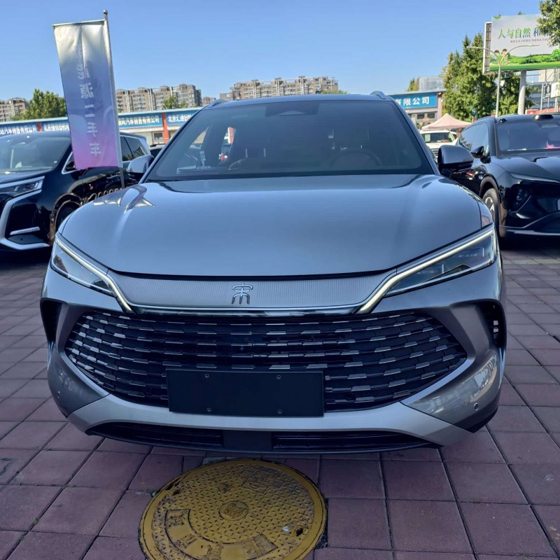 Song L DM-i 2024 model 160km surpassing model Song L DM-i 2024 model 160km surpassing model