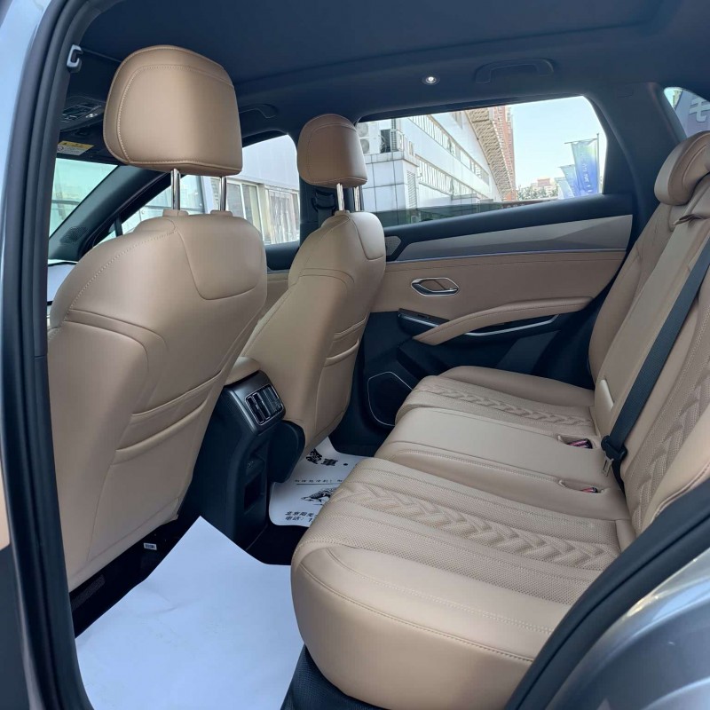 Song L DM-i 2024 model 160km surpassing model Song L DM-i 2024 model 160km surpassing model