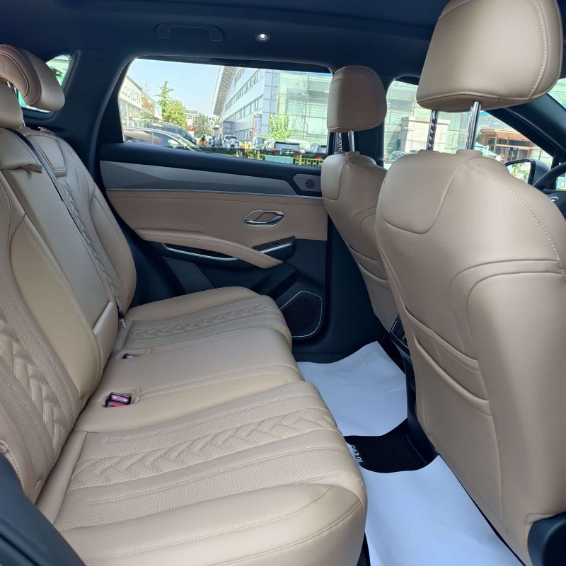 Song L DM-i 2024 model 160km surpassing model Song L DM-i 2024 model 160km surpassing model