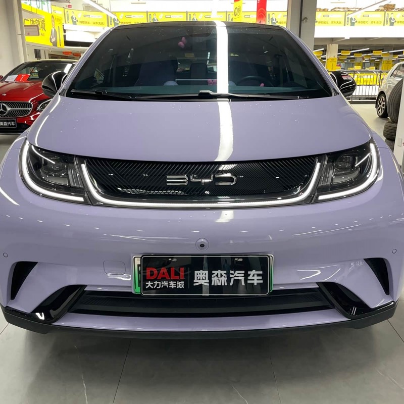 Dolphin 2023 420km Fashion Edition Dolphin 2023 420km Fashion Edition