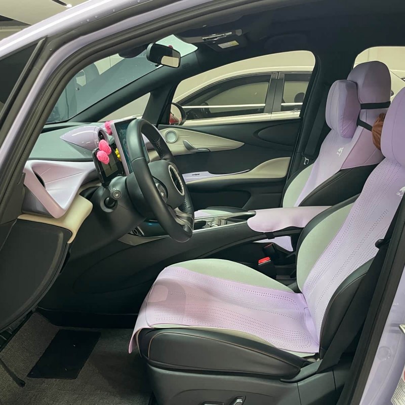 Dolphin 2023 420km Fashion Edition Dolphin 2023 420km Fashion Edition