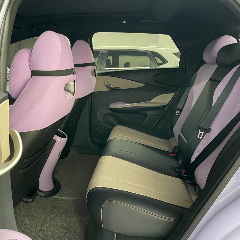 Dolphin 2023 420km Fashion Edition Dolphin 2023 420km Fashion Edition