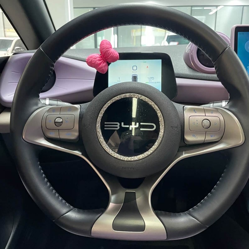 Dolphin 2023 420km Fashion Edition Dolphin 2023 420km Fashion Edition