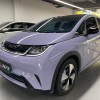 Dolphin 2023 420km Fashion Edition Dolphin 2023 420km Fashion Edition