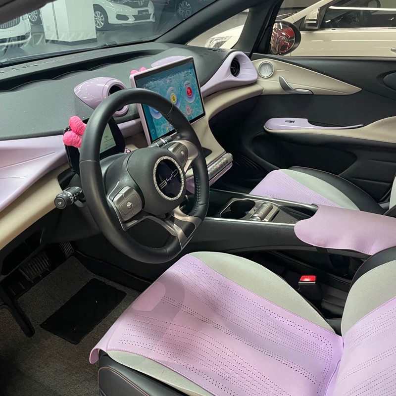 Dolphin 2023 420km Fashion Edition Dolphin 2023 420km Fashion Edition