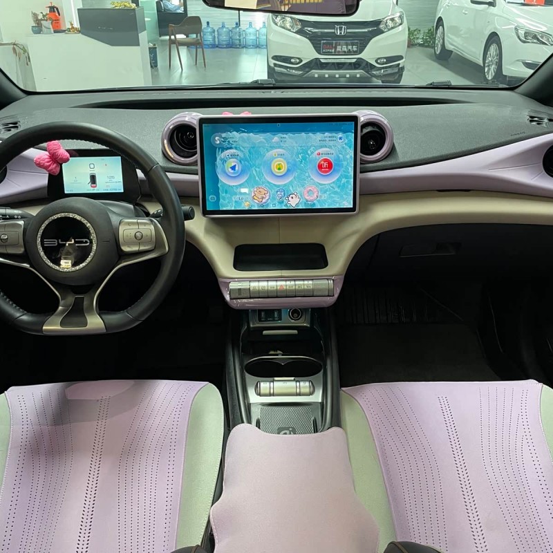 Dolphin 2023 420km Fashion Edition Dolphin 2023 420km Fashion Edition