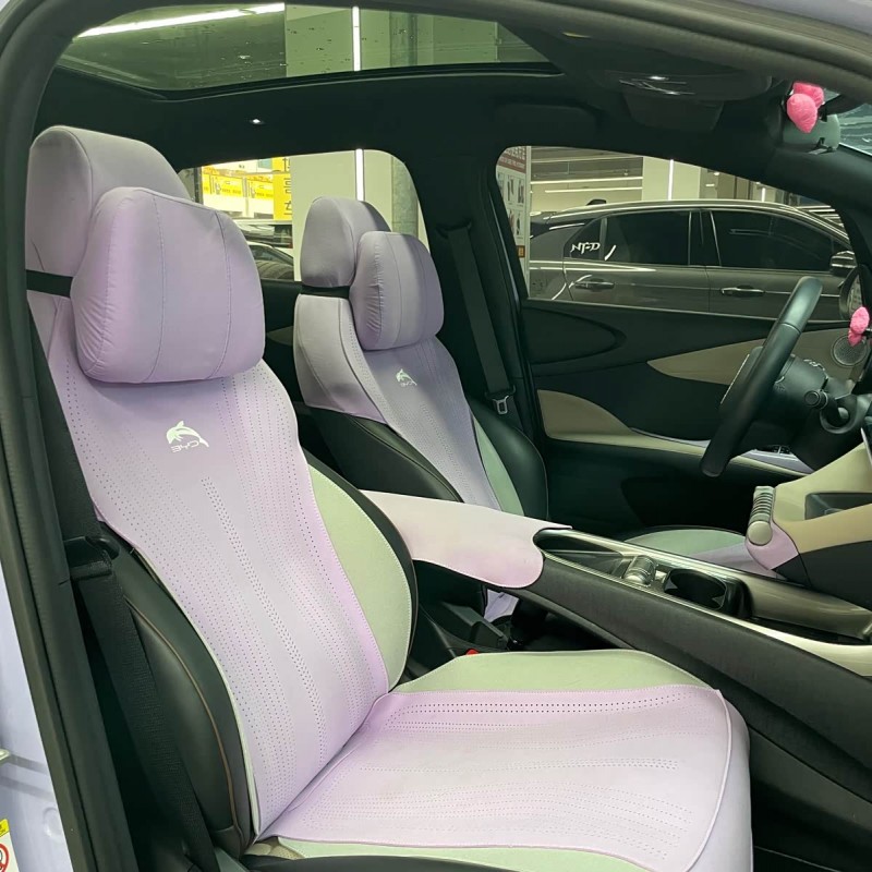 Dolphin 2023 420km Fashion Edition Dolphin 2023 420km Fashion Edition