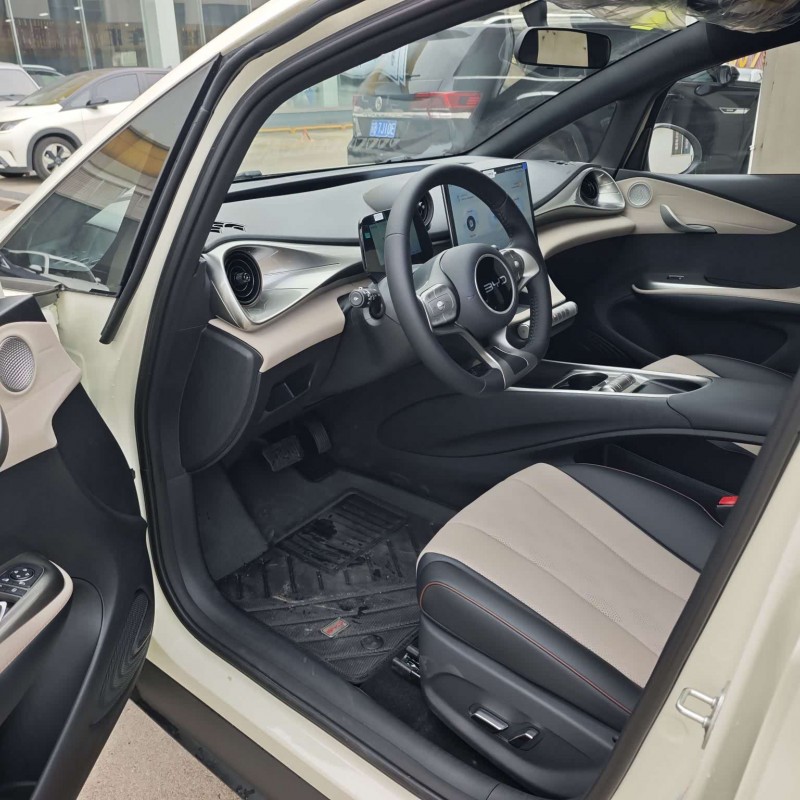 Dolphin 2025 420km Freedom Edition Dolphin 2025 420km Freedom Edition