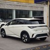 Dolphin 2025 420km Freedom Edition