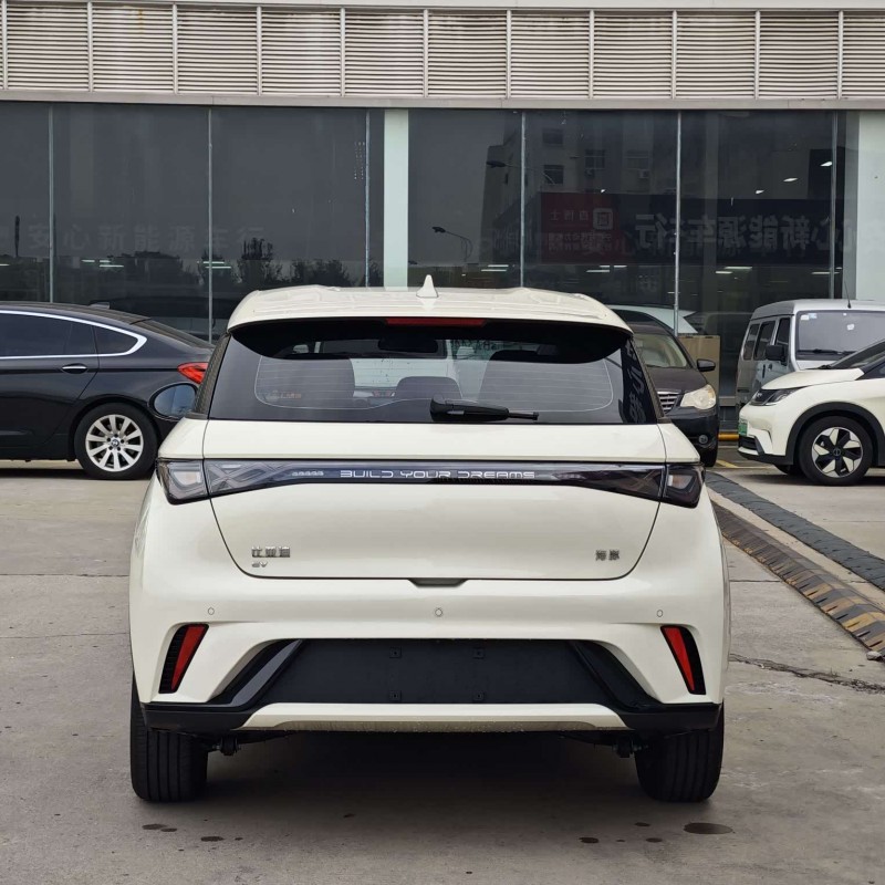 Dolphin 2025 420km Freedom Edition Dolphin 2025 420km Freedom Edition