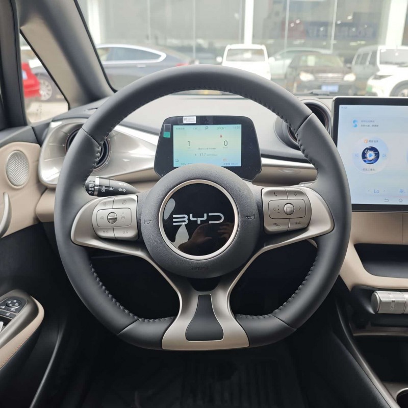 Dolphin 2025 420km Freedom Edition Dolphin 2025 420km Freedom Edition