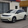 Dolphin 2025 420km Freedom Edition