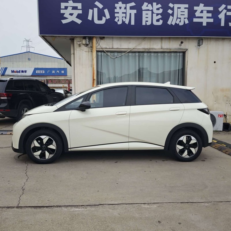 Dolphin 2025 420km Freedom Edition Dolphin 2025 420km Freedom Edition