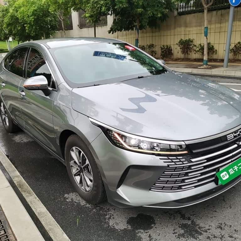 Destroyer 05 2024 Glory Edition DM-i 55KM Luxury Model Destroyer 05 2024 Glory Edition DM-i 55KM Luxury Model
