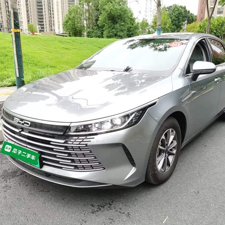 Destroyer 05 2024 Glory Edition DM-i 55KM Luxury Model Destroyer 05 2024 Glory Edition DM-i 55KM Luxury Model