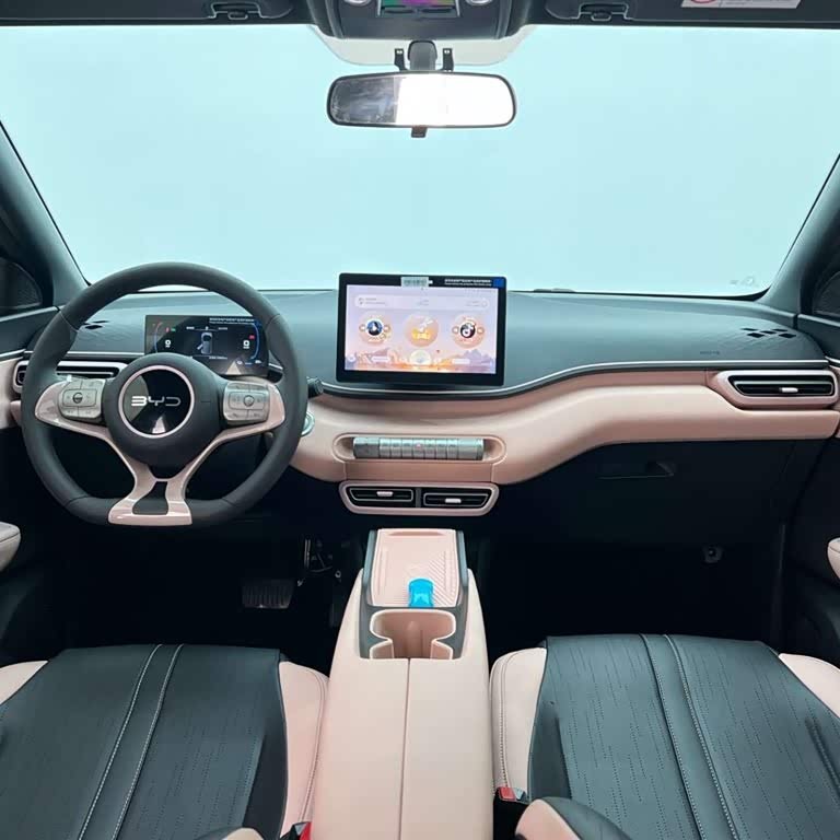Seagull 2024 Glory Edition 305km Vitality Edition Seagull 2024 Glory Edition 305km Vitality Edition