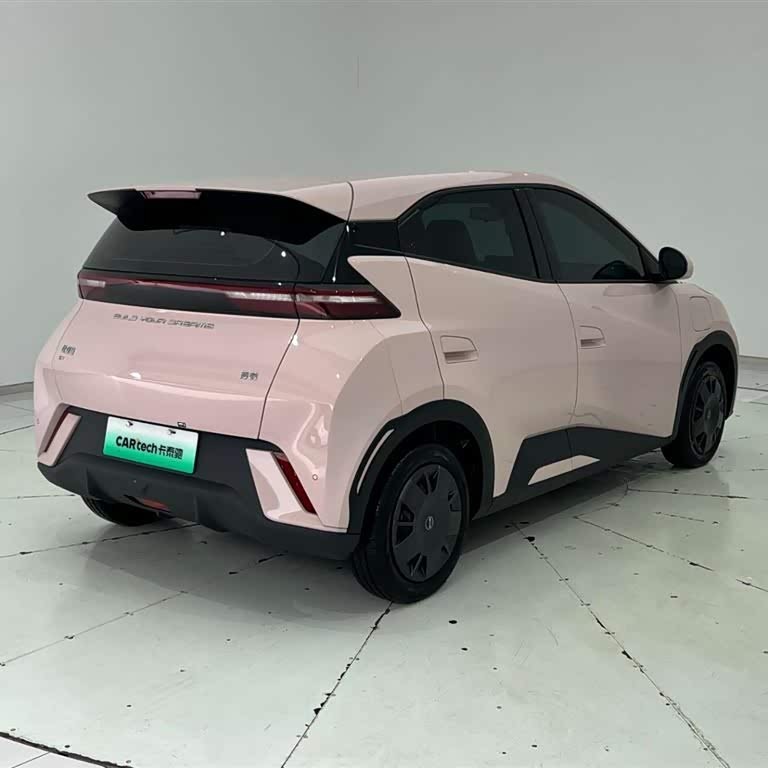 Seagull 2024 Glory Edition 305km Vitality Edition Seagull 2024 Glory Edition 305km Vitality Edition