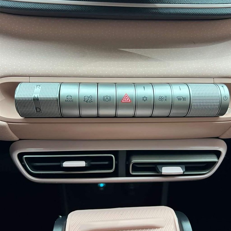 Seagull 2024 Glory Edition 305km Vitality Edition Seagull 2024 Glory Edition 305km Vitality Edition