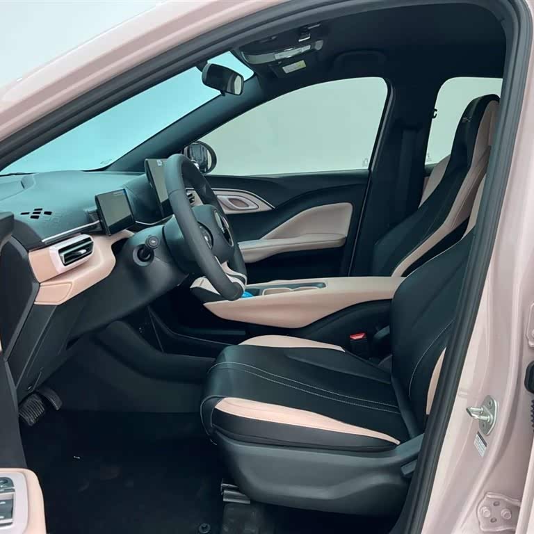 Seagull 2024 Glory Edition 305km Vitality Edition Seagull 2024 Glory Edition 305km Vitality Edition