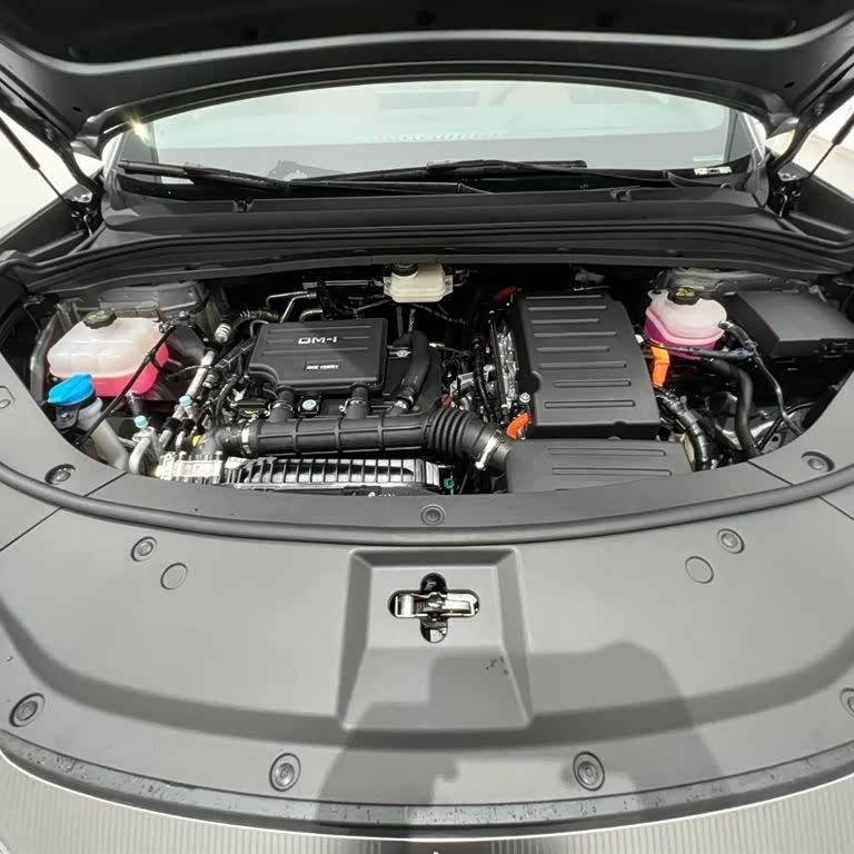 Song L DM-i 2024 model 112km surpassing model Song L DM-i 2024 model 112km surpassing model